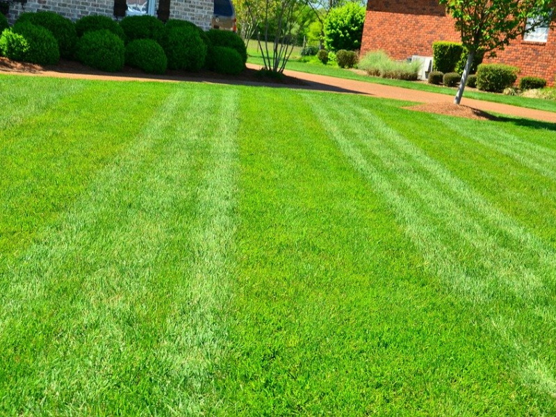 grass cutting