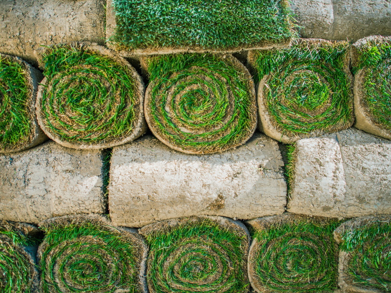 turf